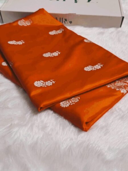 Banarasi handloom saree